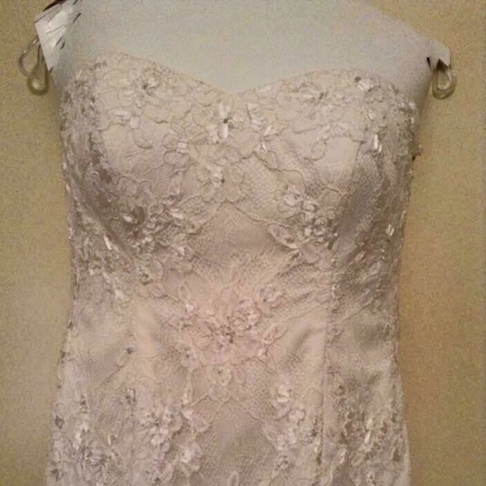 Kelly Faetanini wedding dress